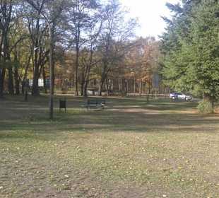Park Baden-Powella