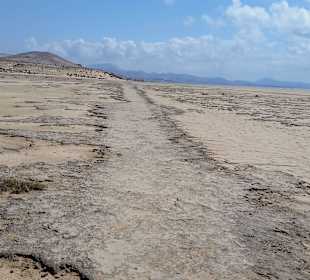 Das ist eine Ölspur 