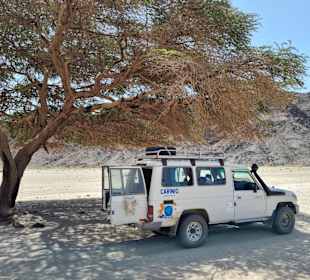 Wadi el Gemal National Park