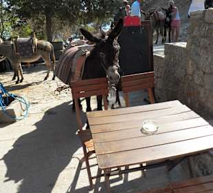 Akropolis von Lindos 