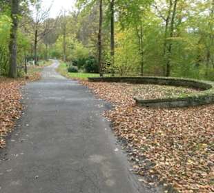 Waldfriedhof