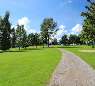 Hügeliges Gelände mit Bäumen