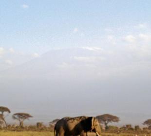 Schwacher Blick auf Kilimanjaro