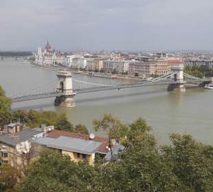 Blick auf die Donau.
