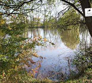 Kloster Marienrode: der Mühlenteich