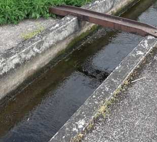 Mönchhof-Sägemühle Vespersweiler