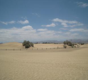 Dünen von Maspalomas