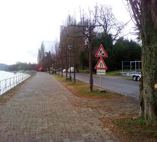 Rheinufer Bonn in Bonn