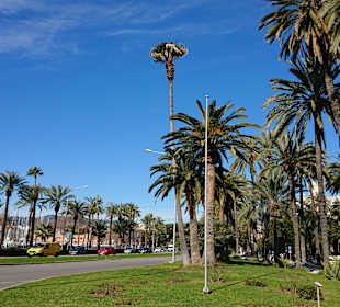 Wandern Serra de na Burguesa Palma