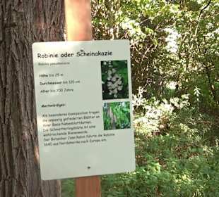 Baumlehrpfad Zollertal