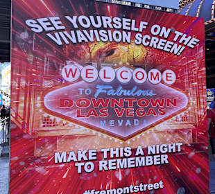 Fremont Street Experience
