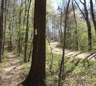 Wanderung Florianrunde