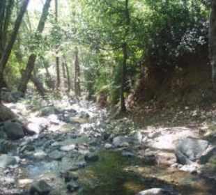 Kleiner Fluss / Troodos