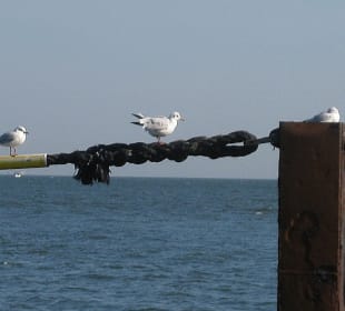 Wenige Meter daneben :-)