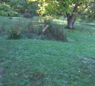 Botanischer Garten