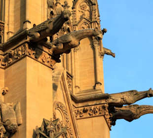 Gotik in Vollendung, die Kathedrale von Metz