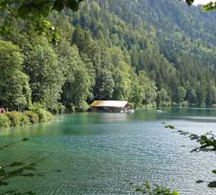 Rund um den Alpsee