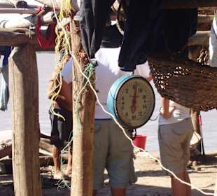 Indianercamp im Delta