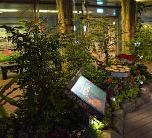 Flughafen Singapur Changi (SIN)