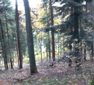 Geschichtslehrpfad Streichen