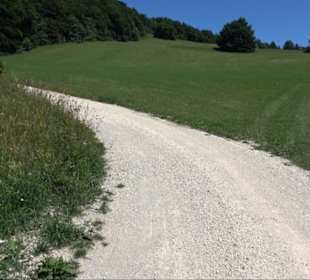 Ruine Hohengenkingen - Genkingen