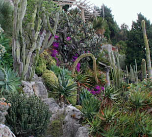 Jardin dÉxotique - Monaco
