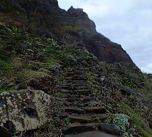 Jetzt geht´s die Stufen hoch