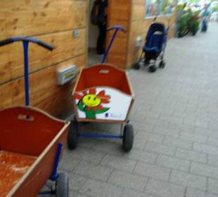 Kann man sich Ausleihen Hunde-/ Kinder etc.