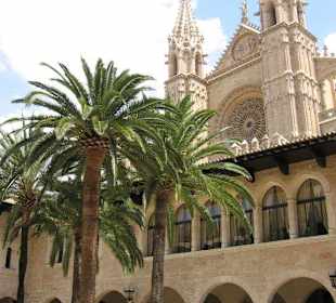 Palast mit Blick auf La Seu (Kathedrale)