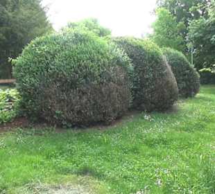 Park an der Mauritiuskirche