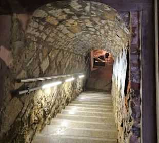 Abstieg zum Lapidarium des Stadtmuseums