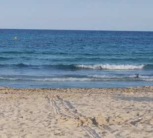 Strand am Protur Vista Badia Aparthotel