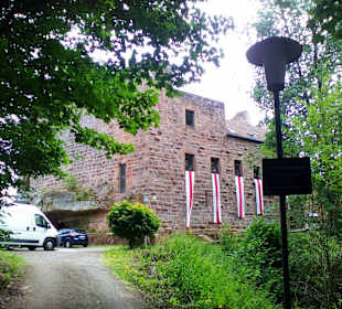 Burg Wilenstein in Trippstadt