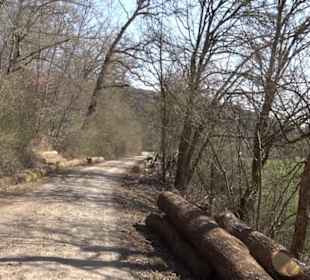 Geologischer Lehrpfad Kirnbachtal