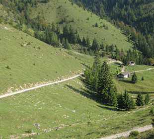 Trainsjoch