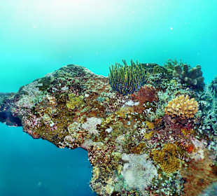 U.S.A.T. Liberty Wreck