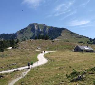 Schafbergalm mit Schafberg ( 1783m)