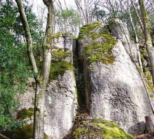 Ganz oben ist man am Ziel