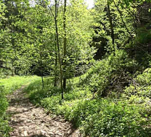 Premiumwanderweg Hochgehschätzt