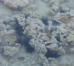 Фото с пирса