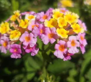 Farben   die die Seele berühren 