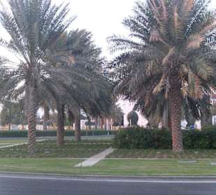 Große Sheikh Zayed Moschee Abu Dhabi