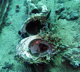 Überreste der Fracht des Wracks "Jolanda"