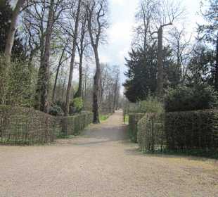 Schlosspark Schwetzingen