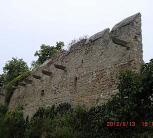 Eindrücke entlang des Werraradwegs