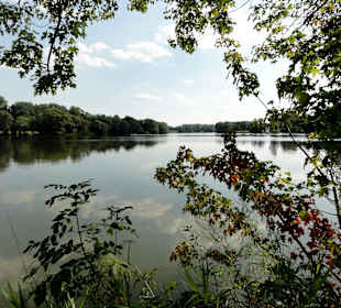 Impressionen vom Kiessee