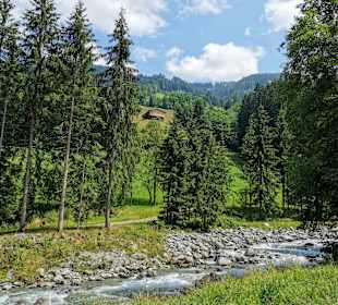 Wandern Reith im Alpbachtal