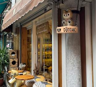 Stadtteile Balat, Fener, Fatih