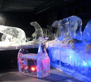 Ice Museum