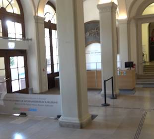 Staatliches Naturkunde Museum